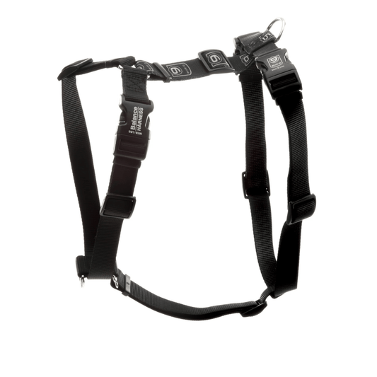 Blue-9 Balance Harness - Arnés - PETOP