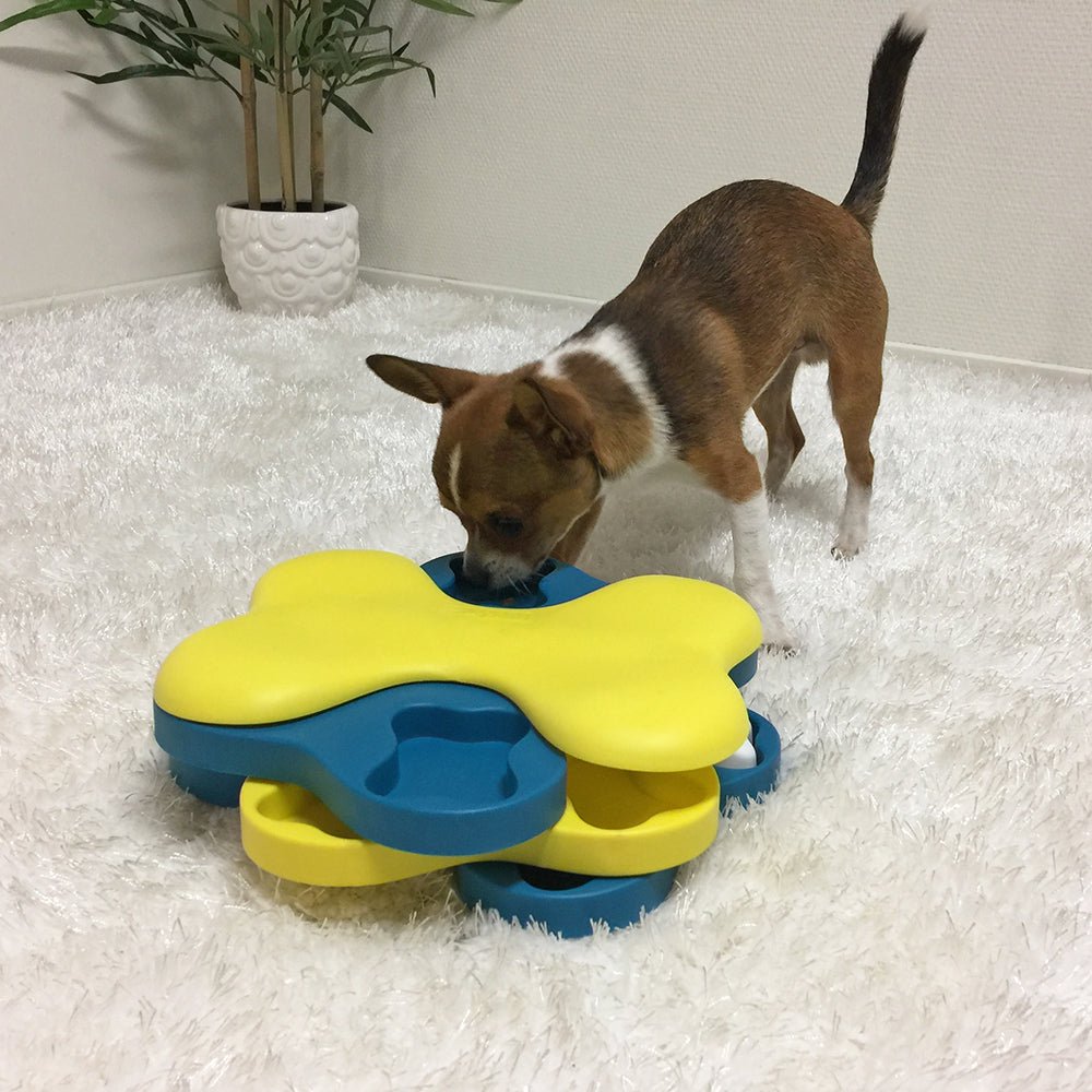 Puzzle Dog Tornado Nivel 2 by Nina Ottosson - Juguete para mascotas - PETOP