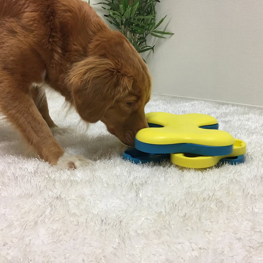 Puzzle Dog Tornado Nivel 2 by Nina Ottosson - Juguete para mascotas - PETOP